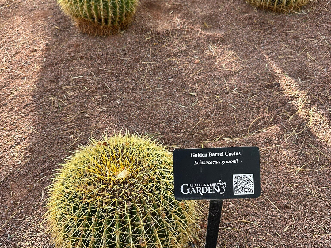 Red Hills Desert Garden-圣乔治必去景点