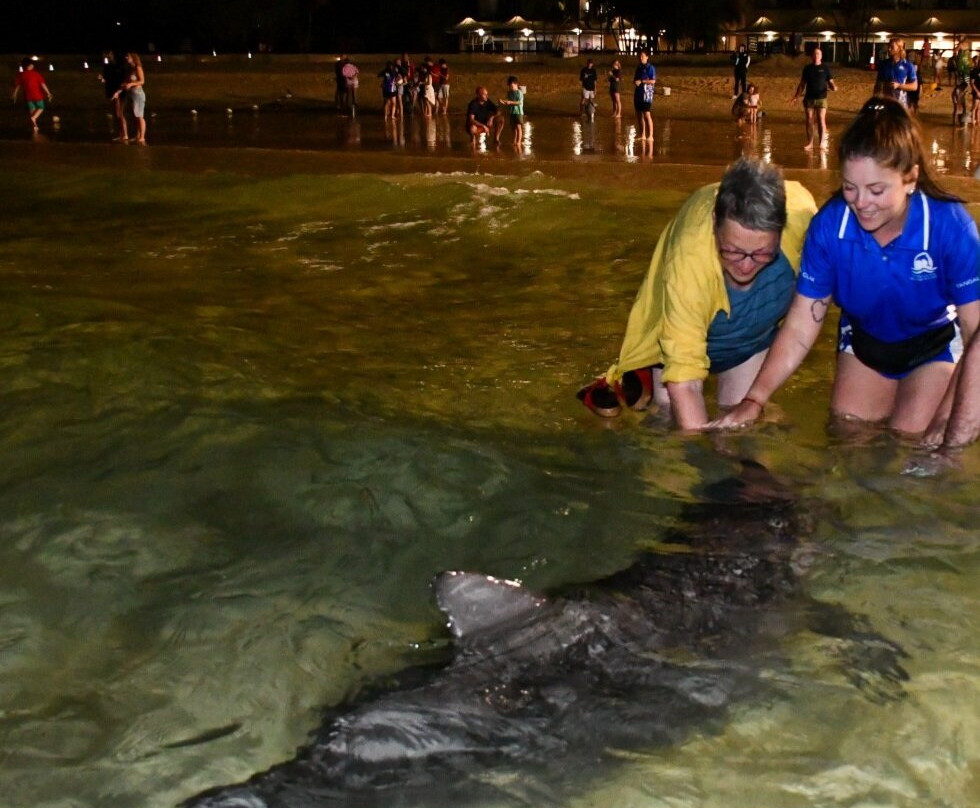 Quest Cannon Hill主图