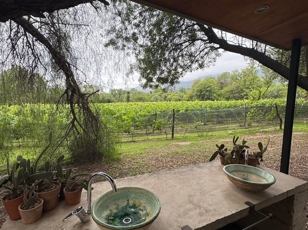 Bodega Araoz de Lamadrid景点图片