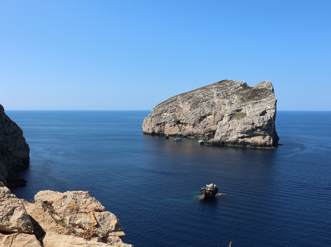 Capo Caccia Vertical Cliffs-阿尔盖罗必去景点