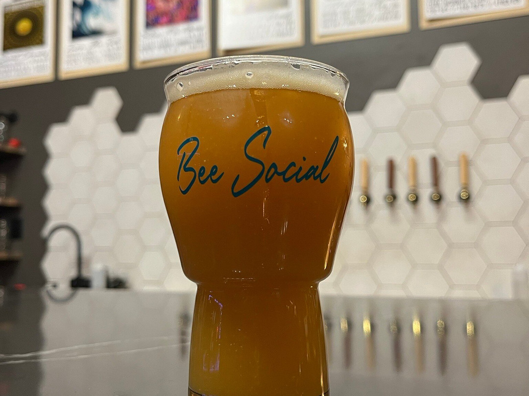 Social Project Brewing景点图片