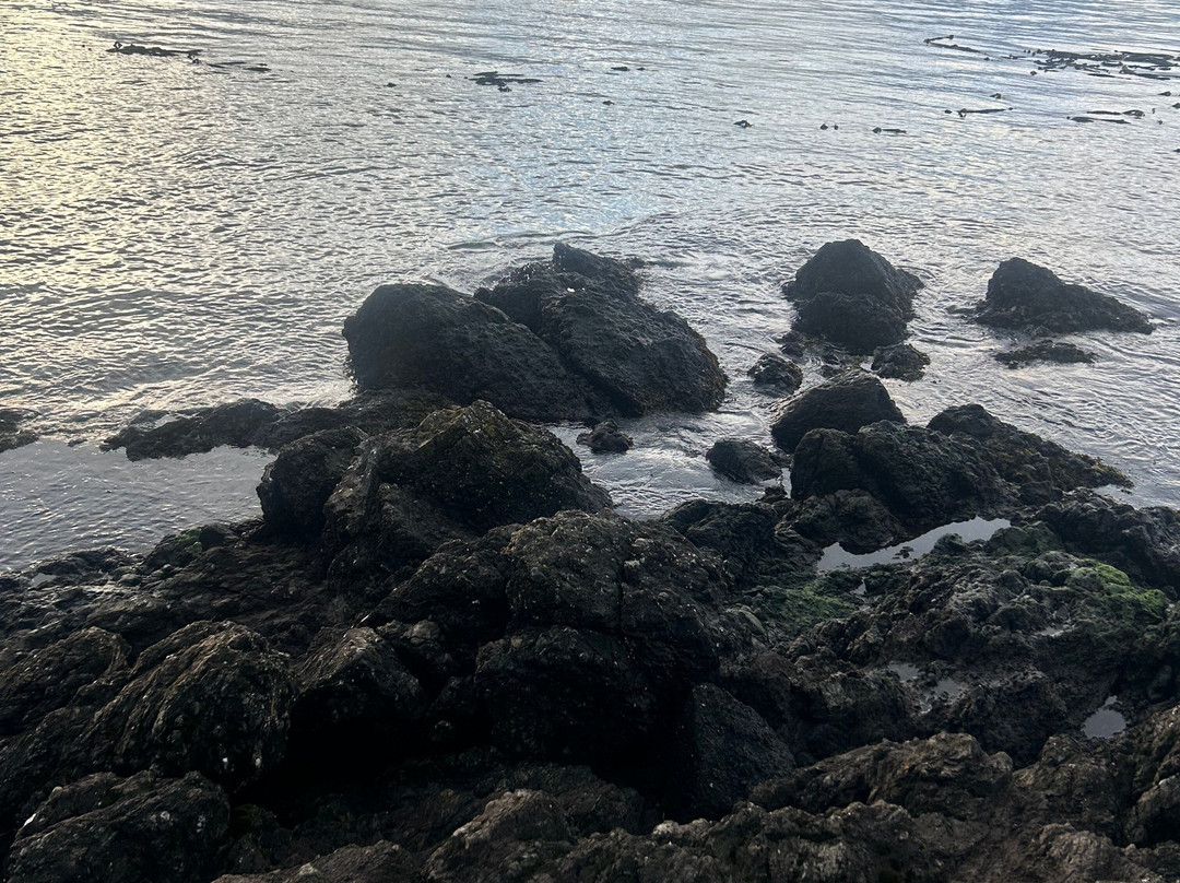 Friday Harbor Suites主图