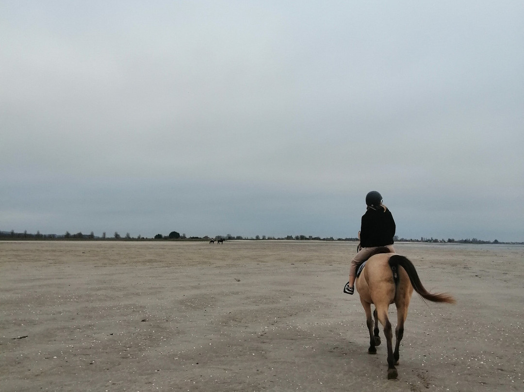Grand Galop Rennes景点图片
