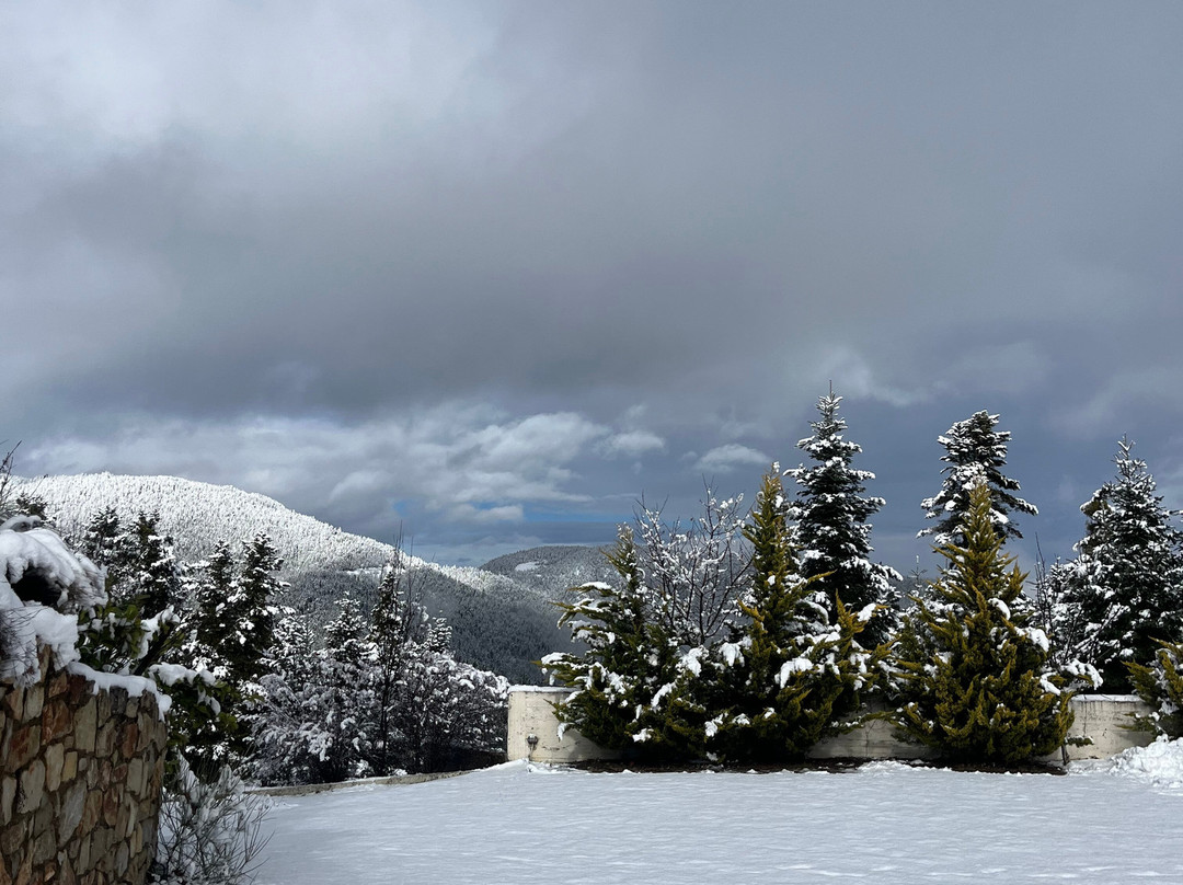 Hotel Vardousia主图