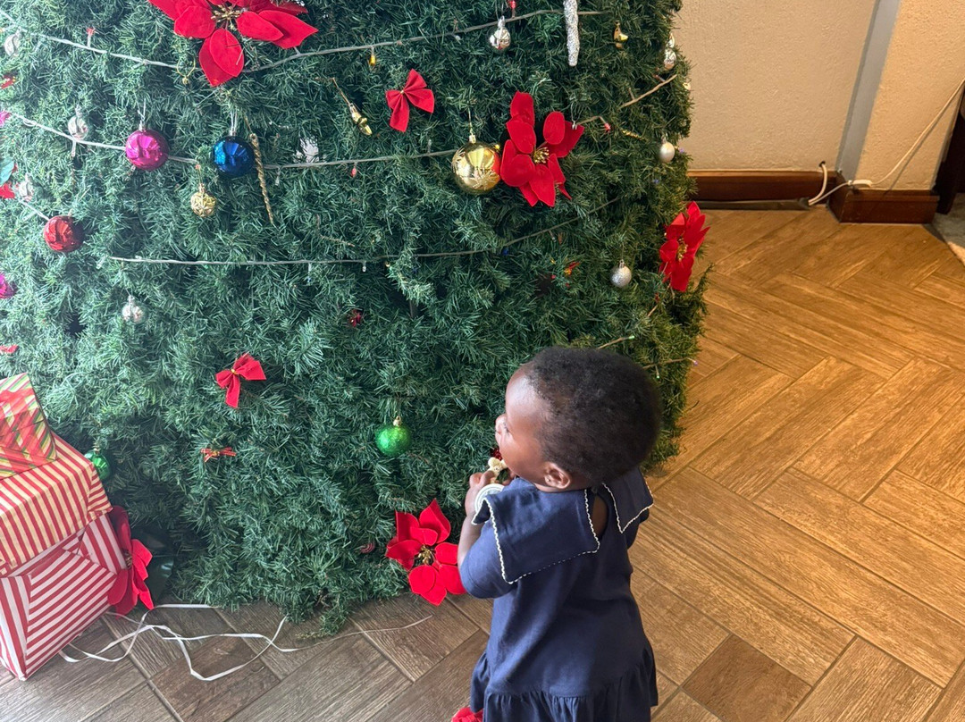 Garden Court Ulundi主图