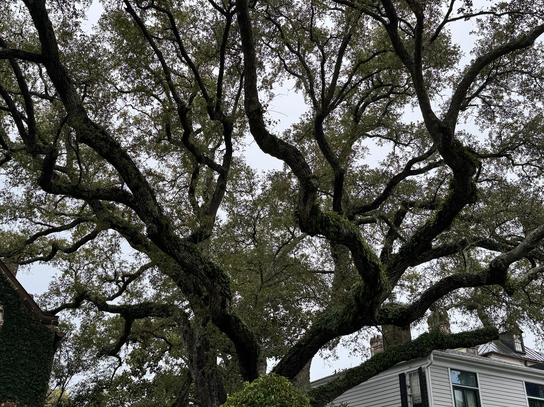 Heyward-Washington House-查尔斯顿必去景点