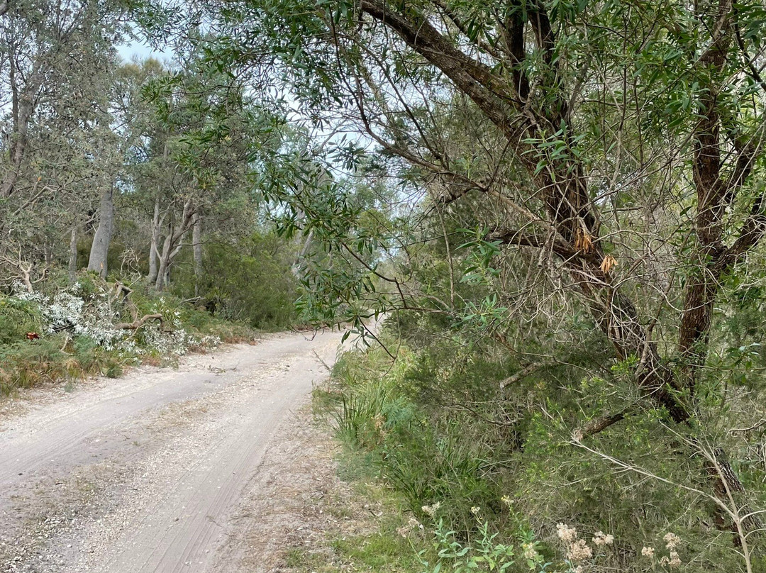 Lake Coleman State Game Reserve-Golden Beach必去景点