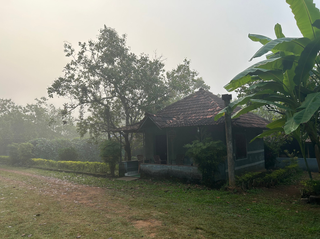 Amara Homestay, Dandeli主图