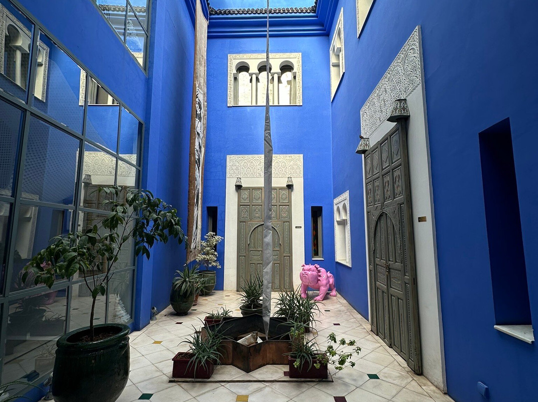 Riad Goloboy主图
