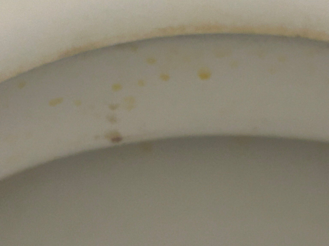 花园门廊酒店主图