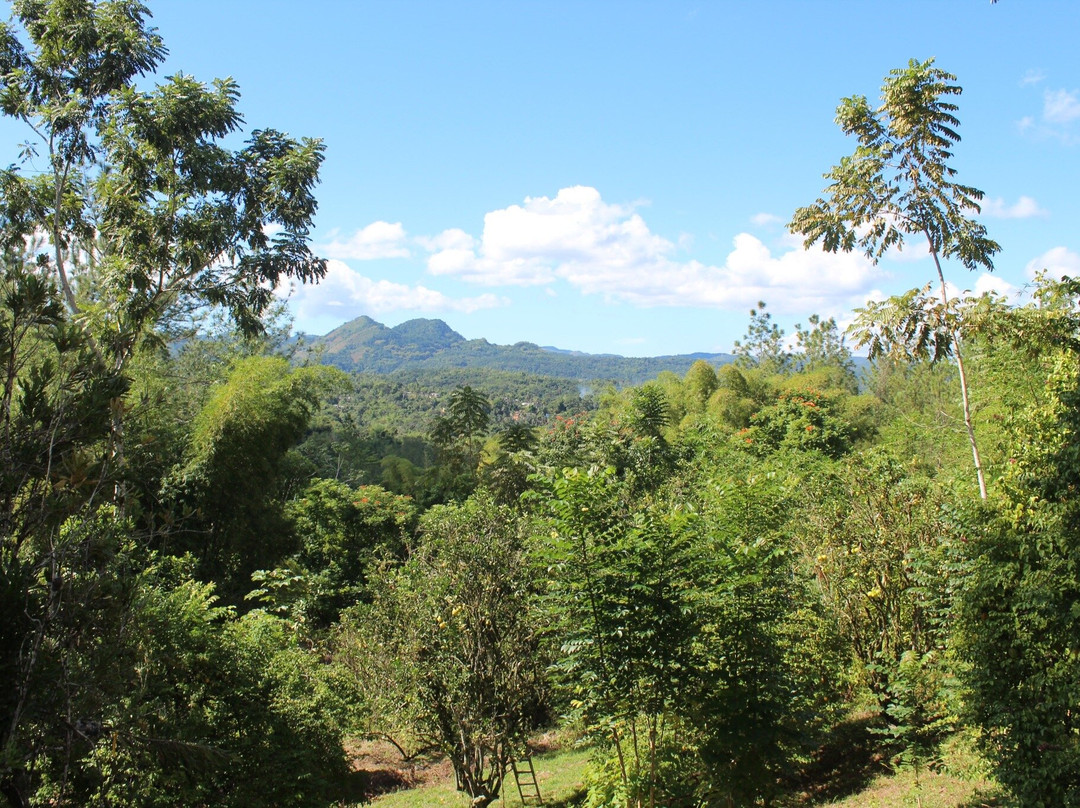 Croydon In The Mountains景点图片