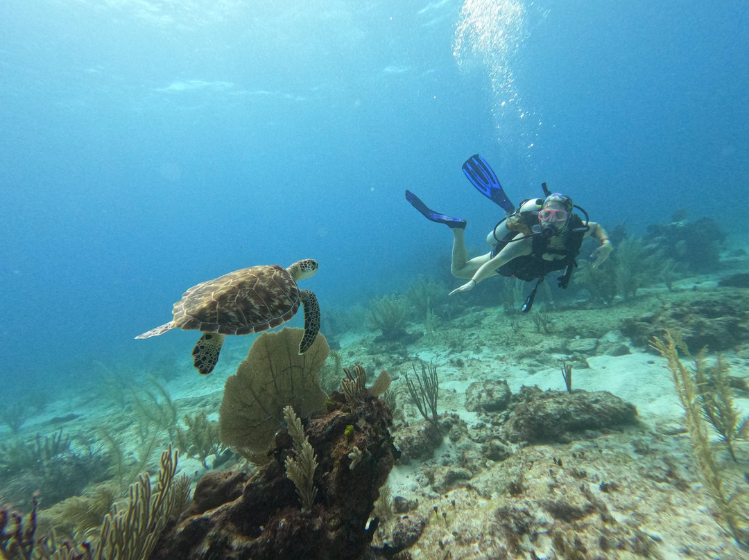 IMSEARENA-女人岛必去景点