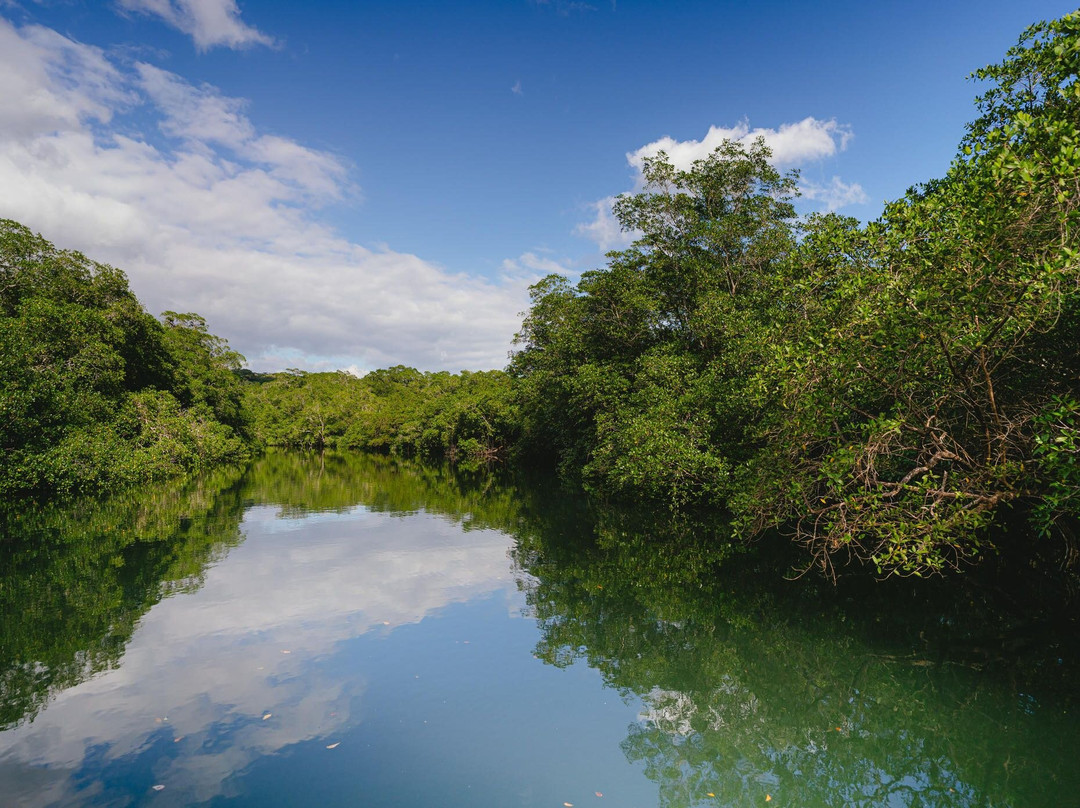 Cocori Boat-Playa Panama必去景点