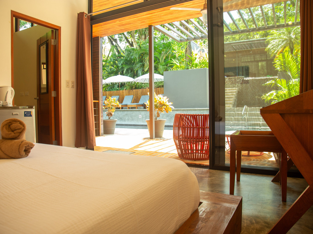 The White Palms Of Nosara