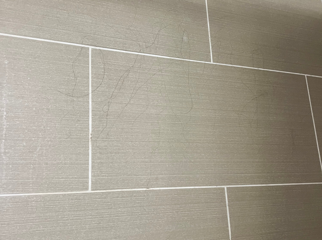 Comfort Inn & Suites Santee I-95主图