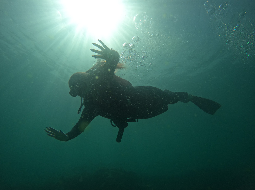 Reef Oasis Diving Center | Fujairah-Al Aqah必去景点