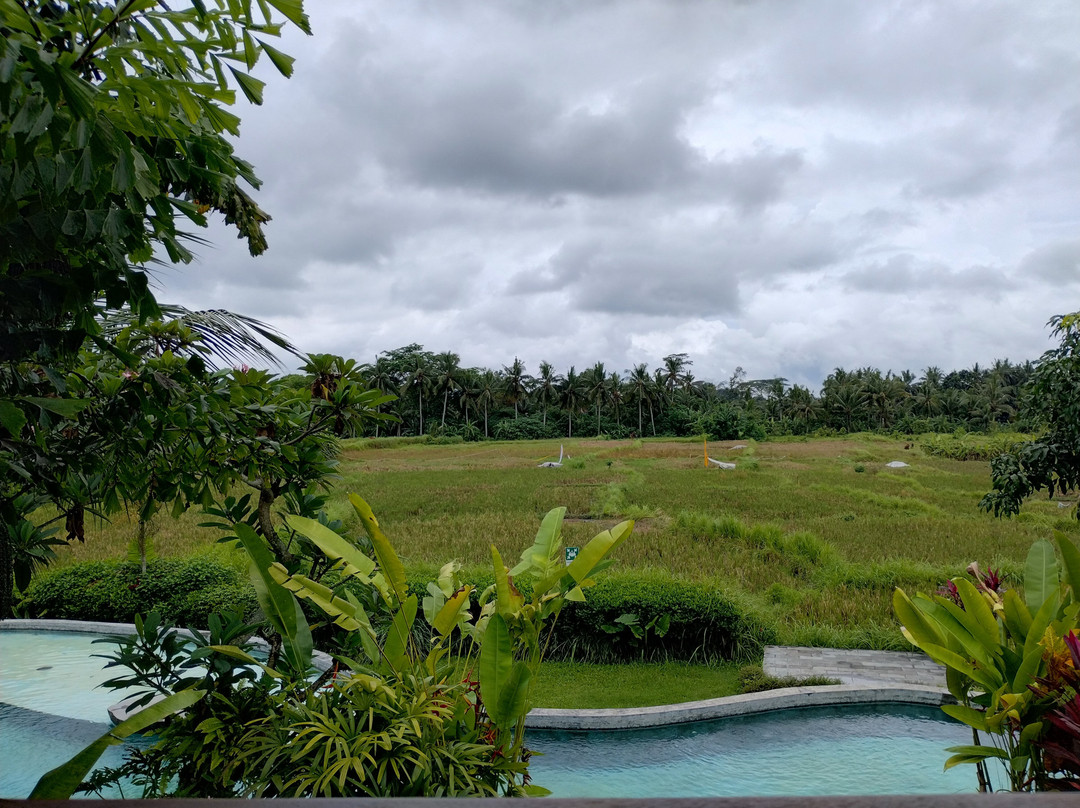 Beehouse Dijiwa Ubud主图