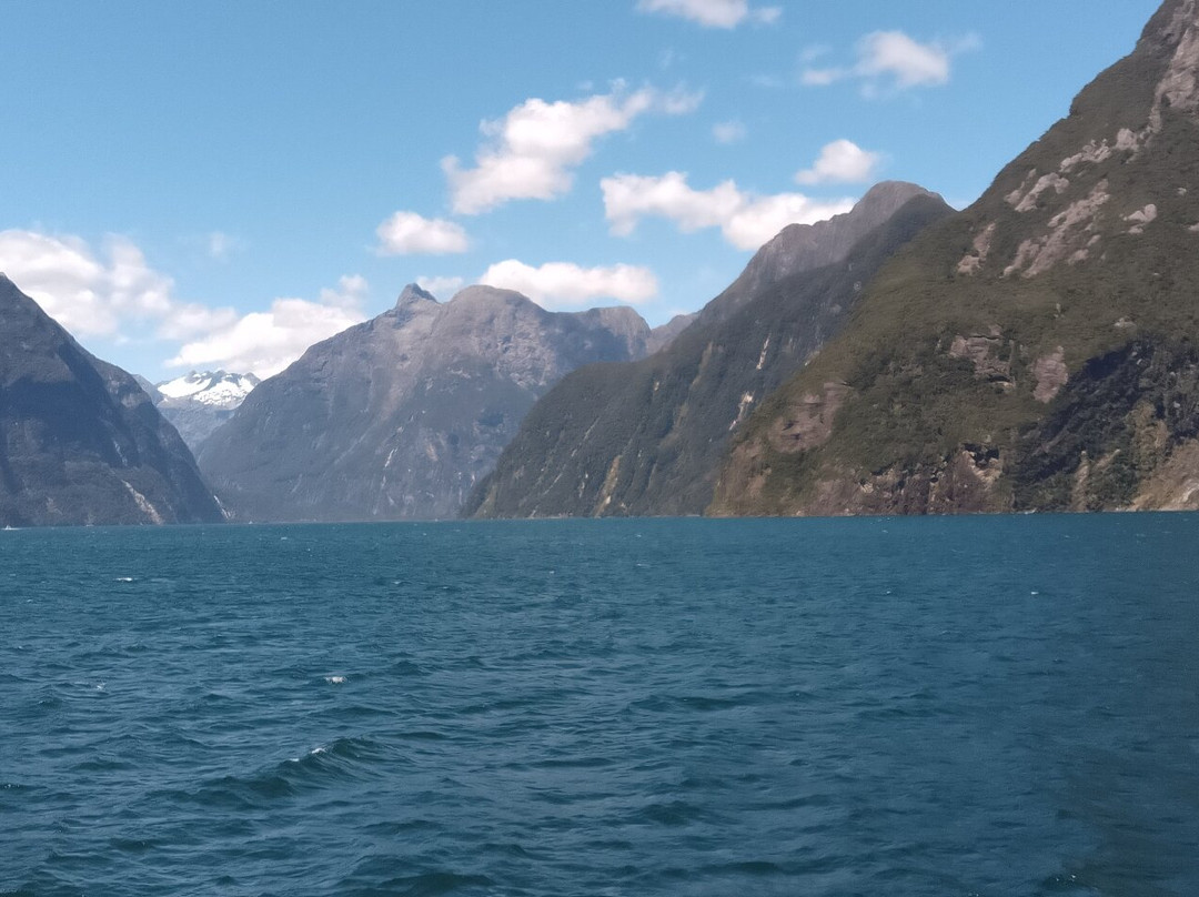 Milford Sound景点图片