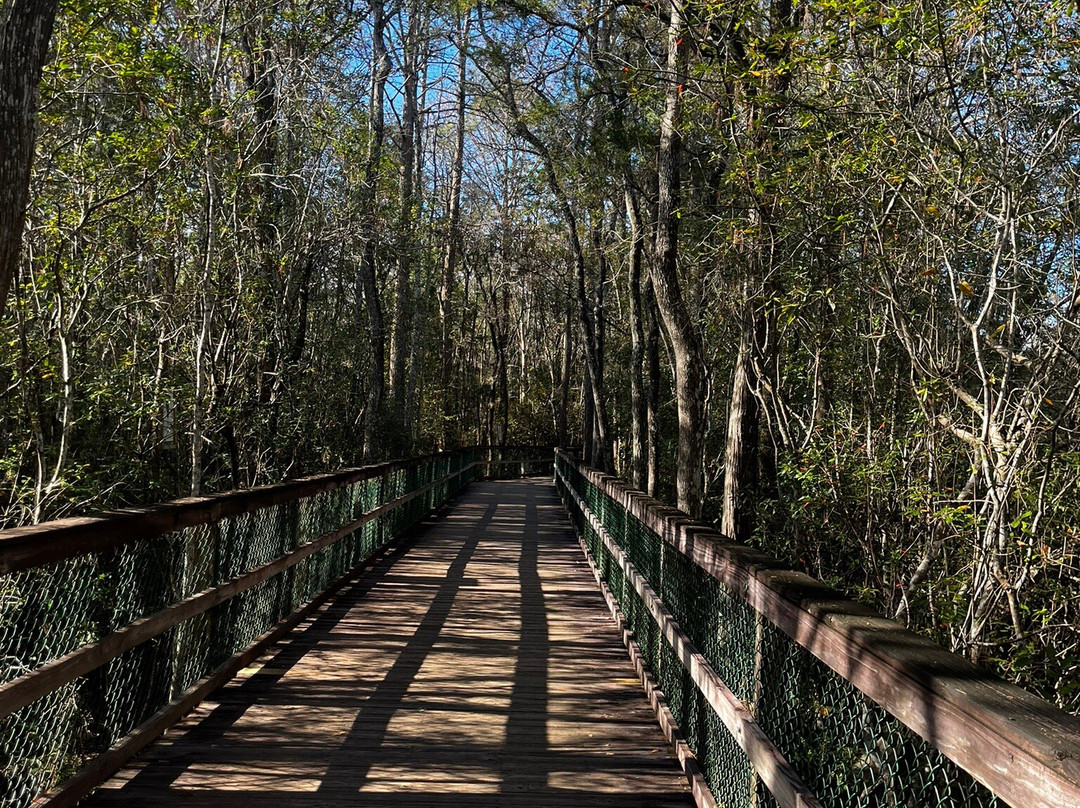 Turkey Creek Nature Trail景点图片