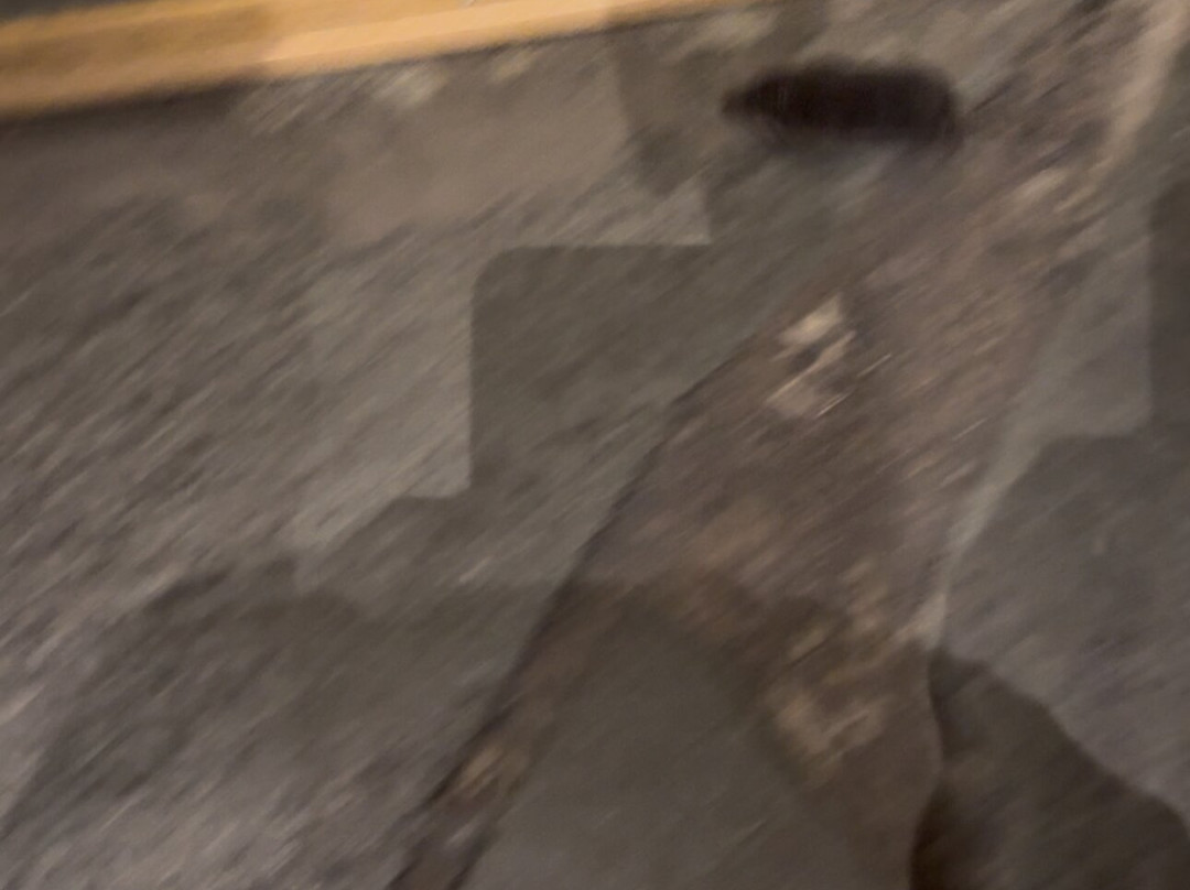 Ski-Inn Hotel Pyhätunturi主图