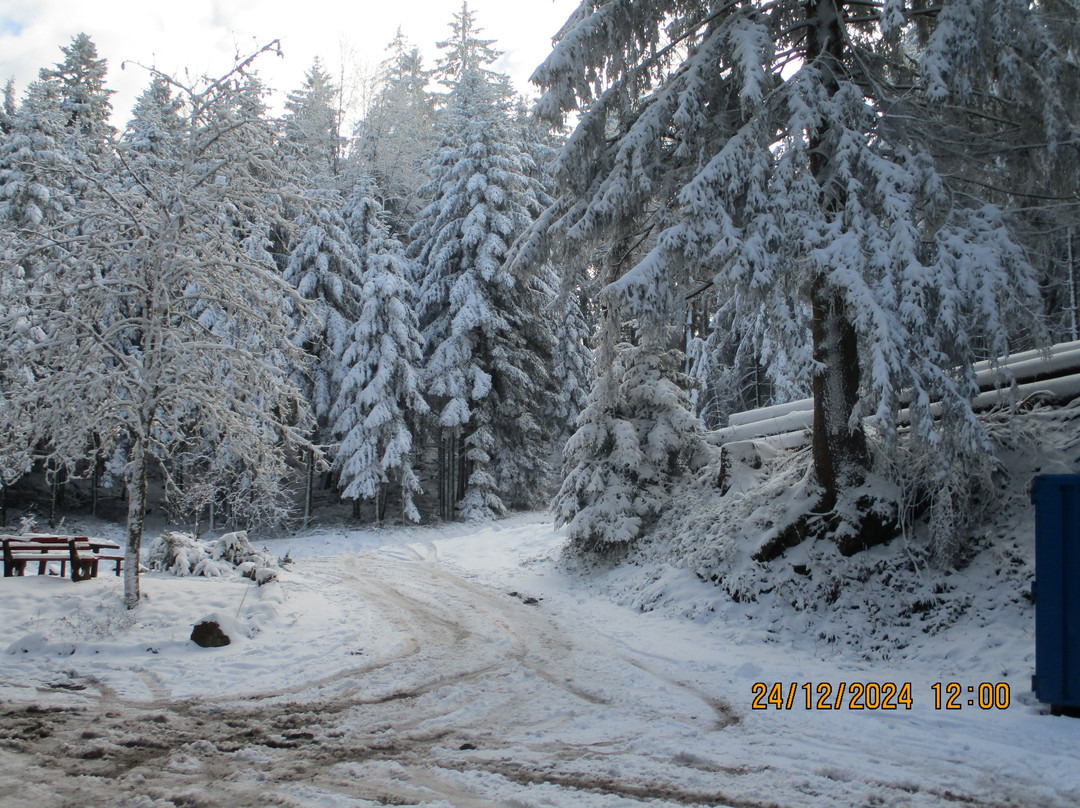 Hotel Klosterbraeustuben主图