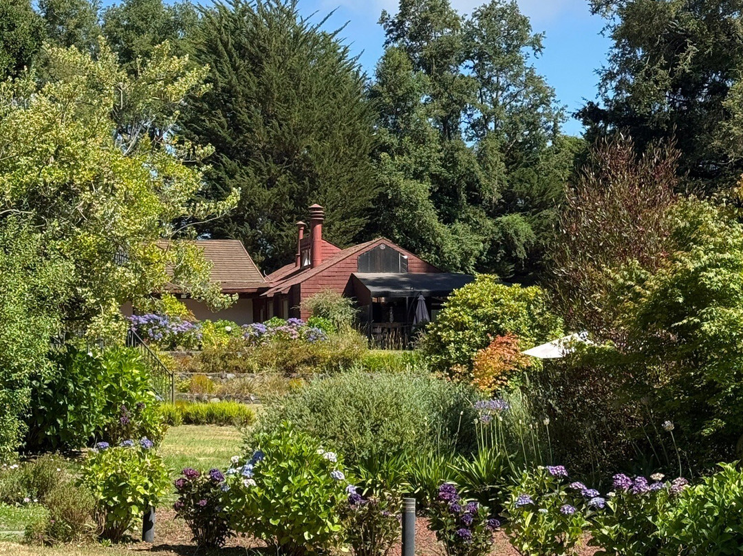 Hotel Pucon Green Park主图