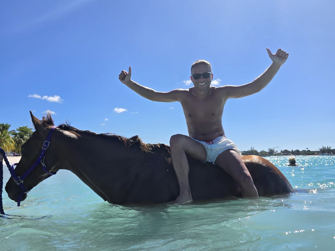 Sunflower Stables Barbados-Mangrove必去景点