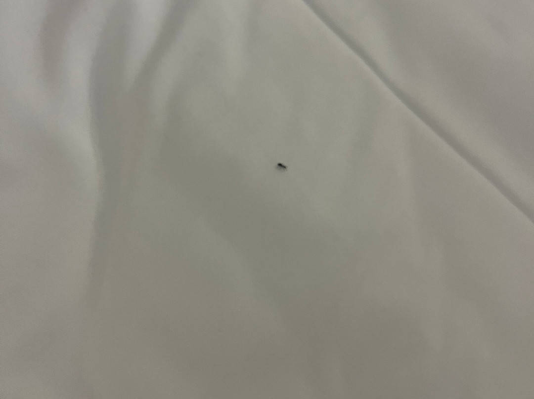 Pacific Bay Resort主图