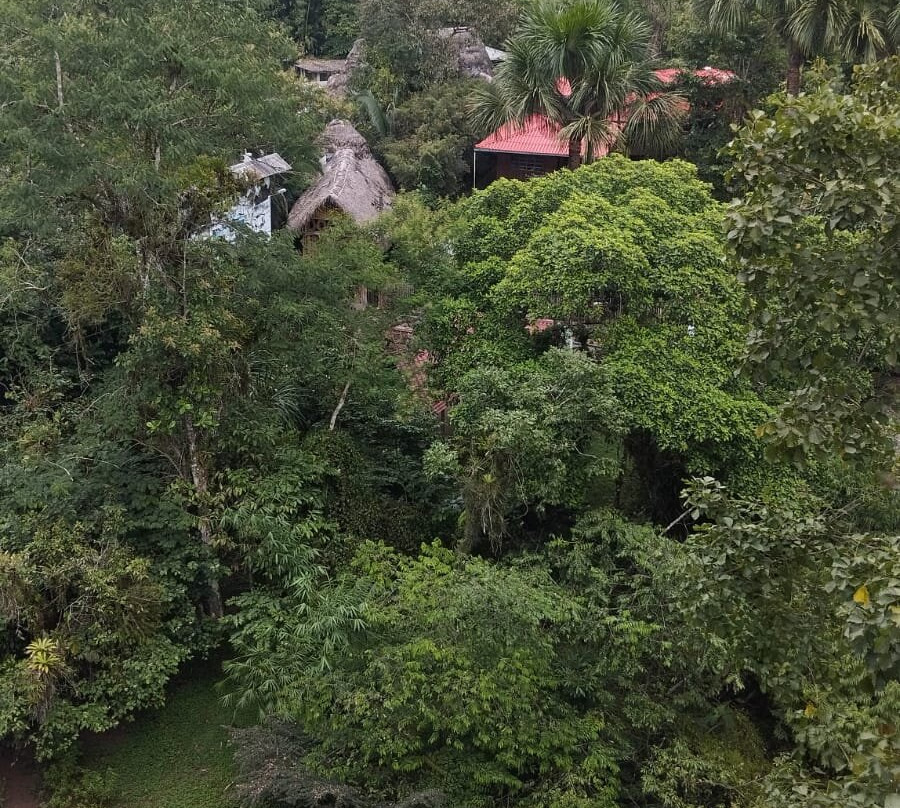 Parque Etnobotanico Omaere景点图片