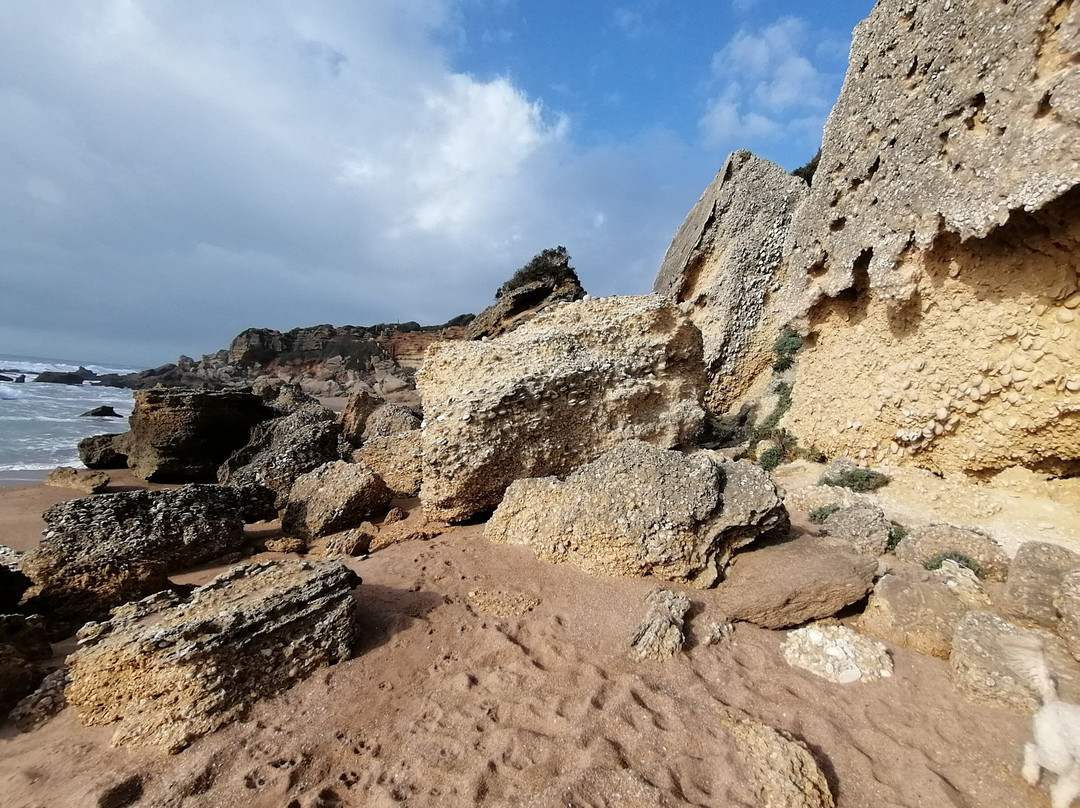 Calas de Roche景点图片