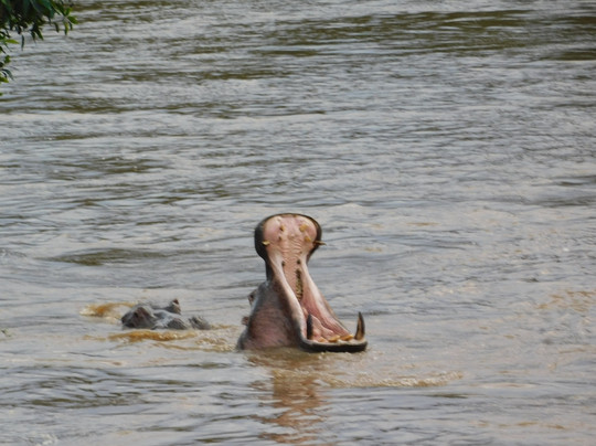 Aventura En Africa-纳罗克必去景点