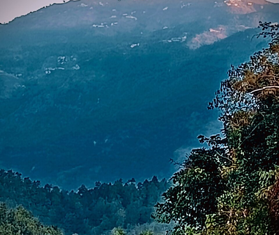 Tree of Life Resort, Dehradun Foothills主图