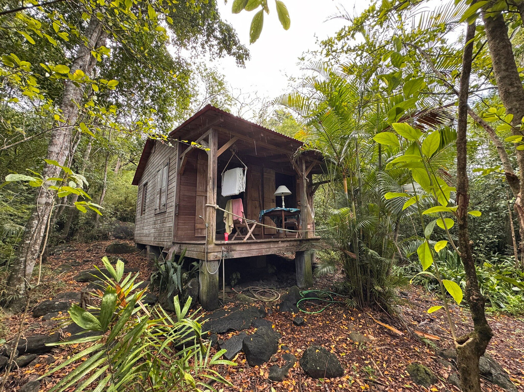 L'Habitation Massieux主图