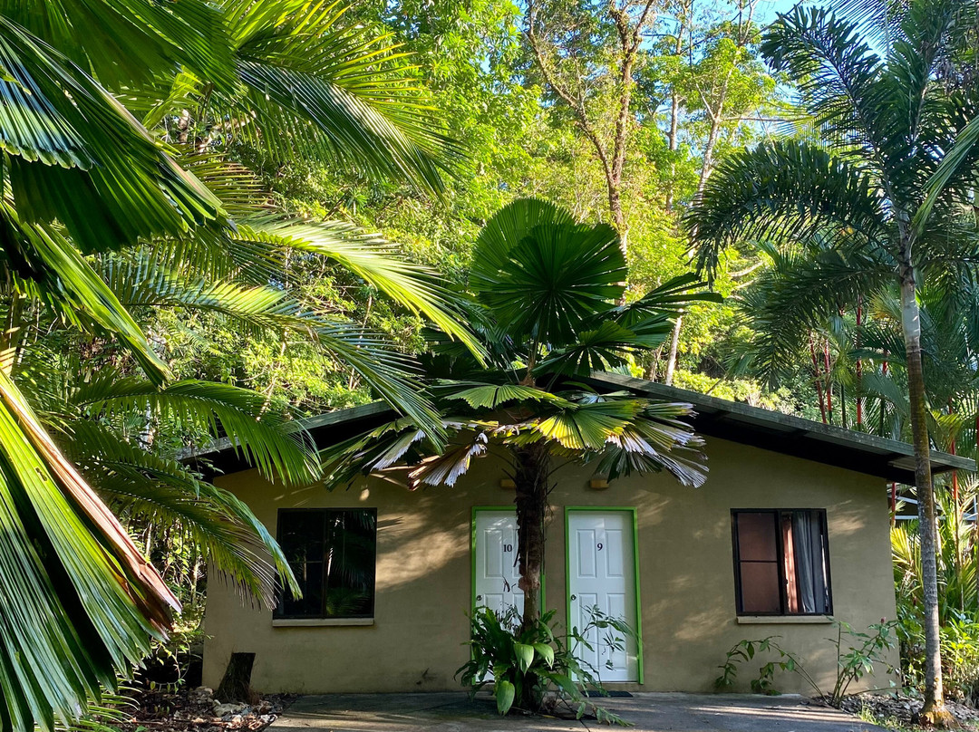 Daintree Siesta主图