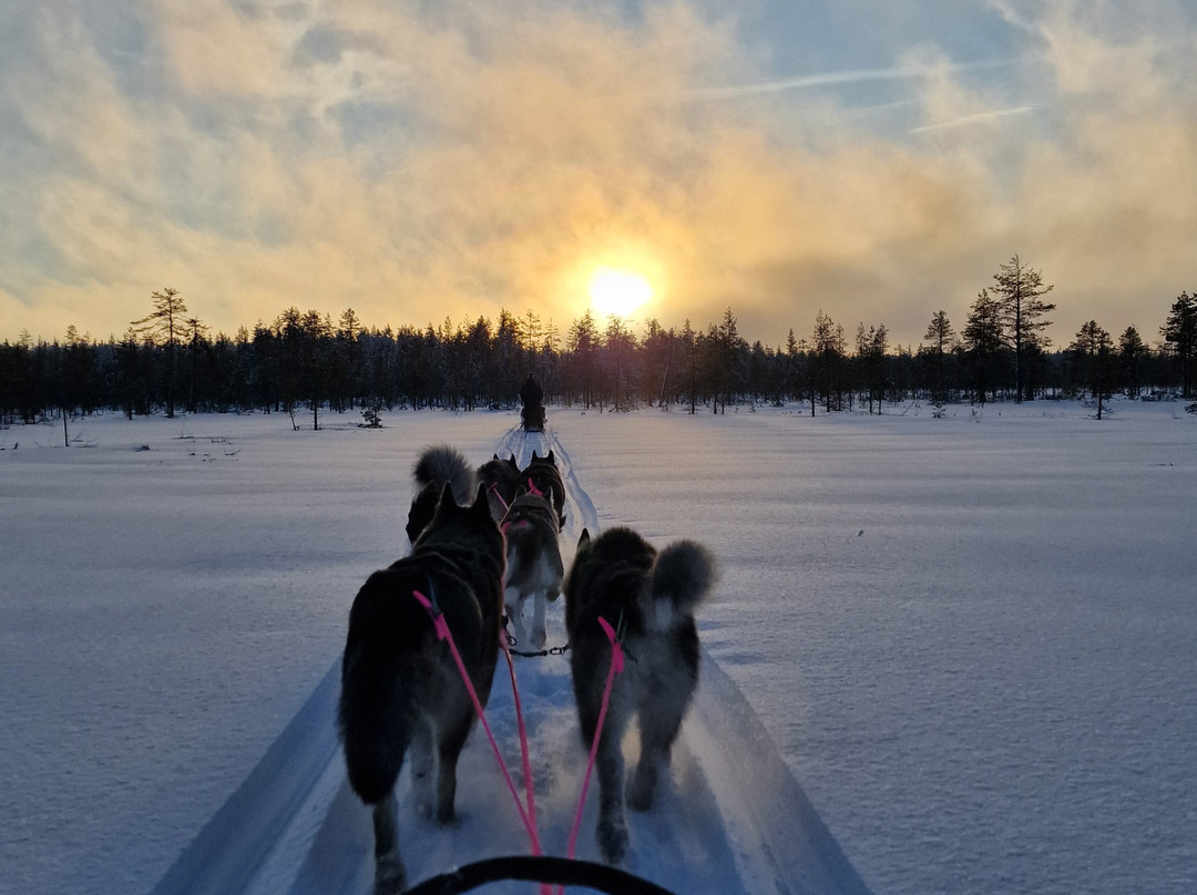 Oulanka Aventure Arctic-Salla必去景点