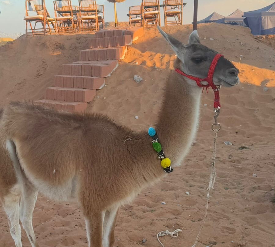 Liwa Beach