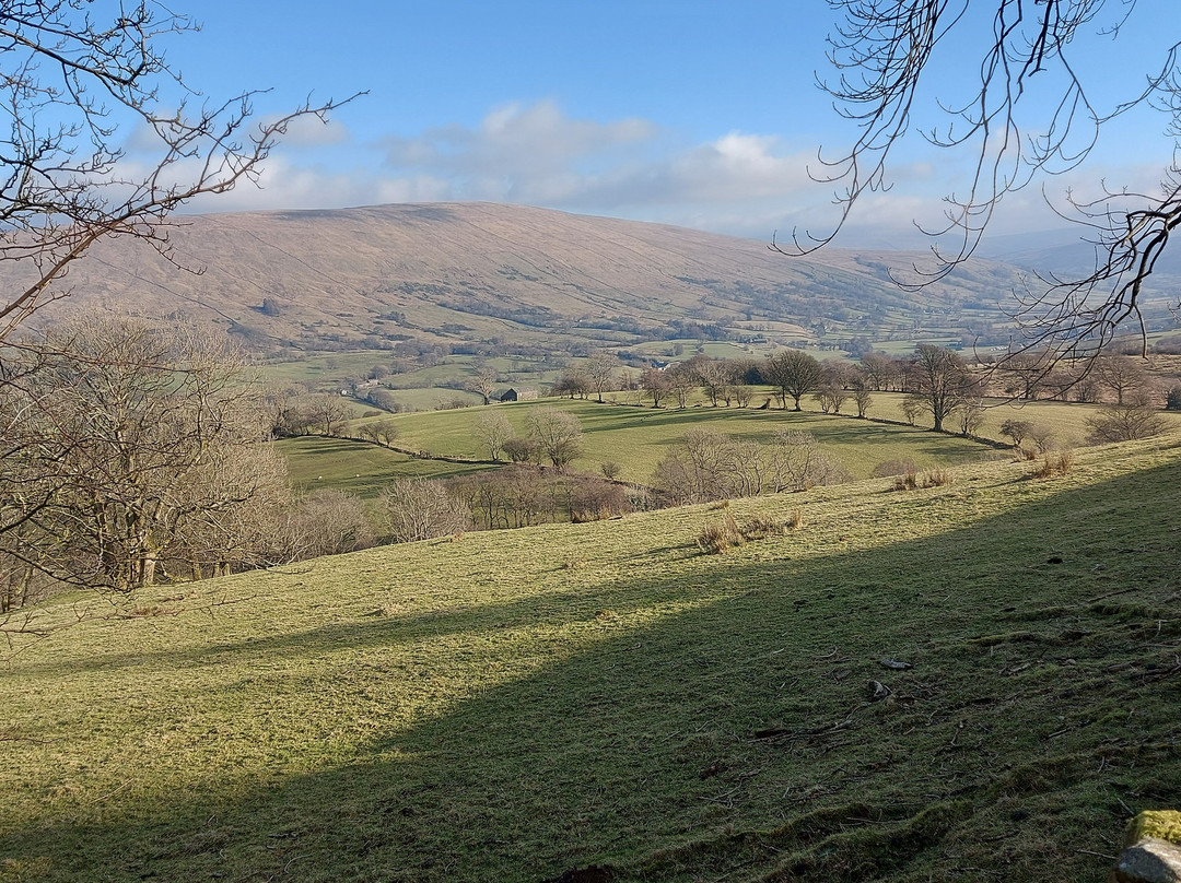 The Old Craft Barn主图