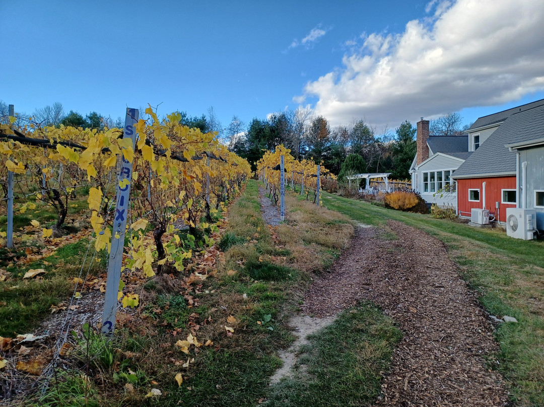 Taylor Brooke Winery-Woodstock必去景点