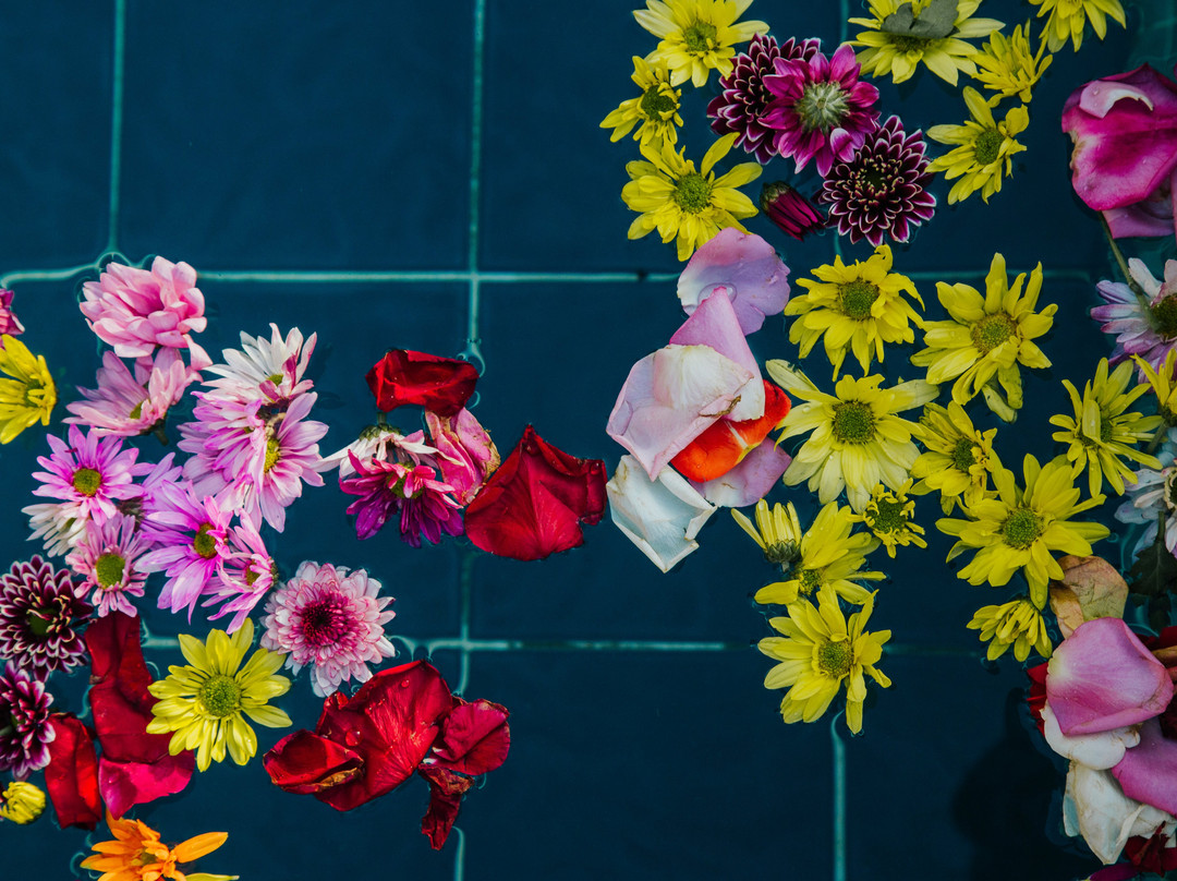 Hotel Pradomar主图