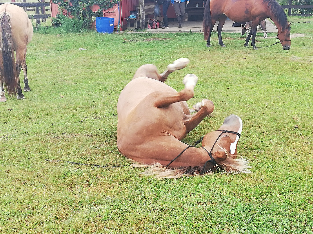 Cabalgatas Valiceras-Valizas必去景点