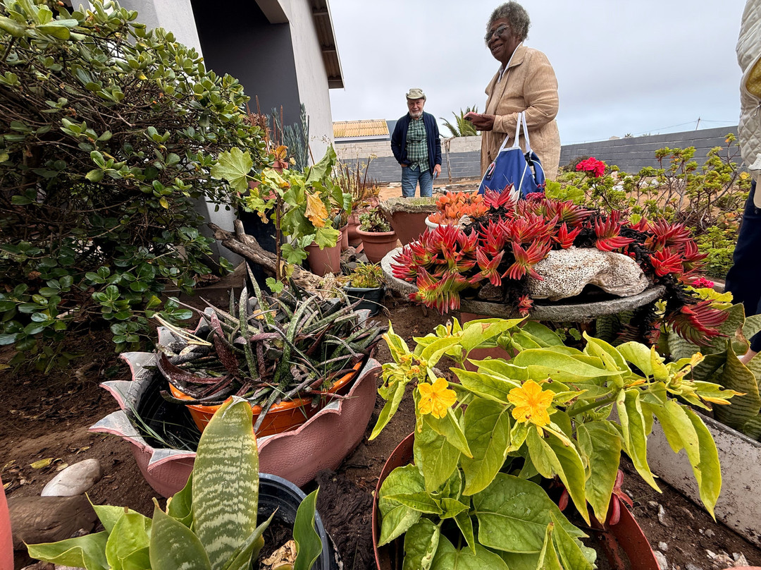 Mondesa Township Tours-斯瓦科普蒙德必去景点