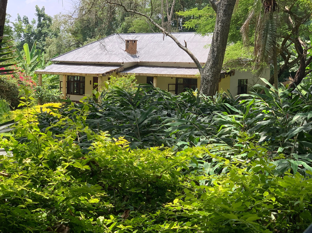 Arusha Safari Lodge主图