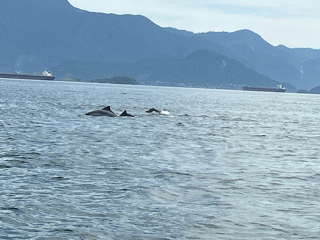 Instituto Boto Cinza-曼加拉蒂巴必去景点