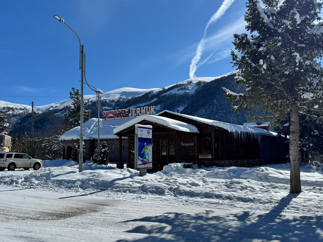 Jermuk Restaurant