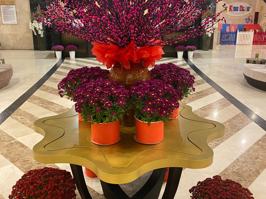 Muong Thanh Luxury Ca Mau Hotel主图