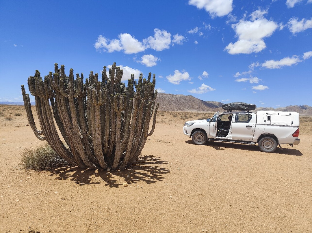 Aloe 4x4 Car Hire-温德和克必去景点