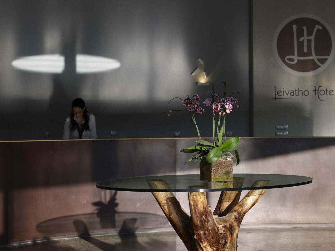 莱维索酒店主图