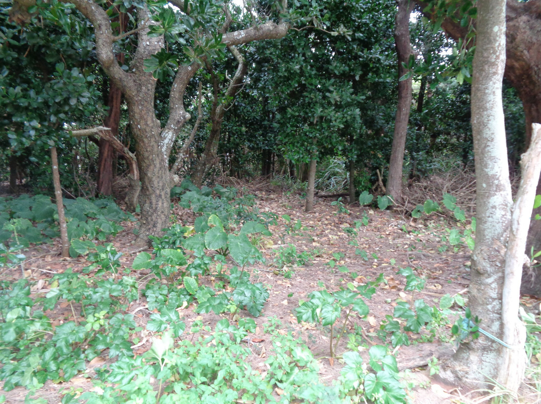 Aparimatuburi-多良间村必去景点