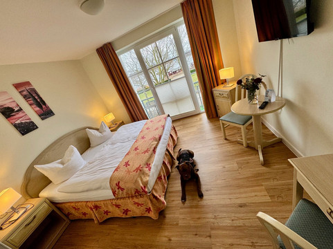 艾姆斯阿尔特斯卡斯诺酒店主图