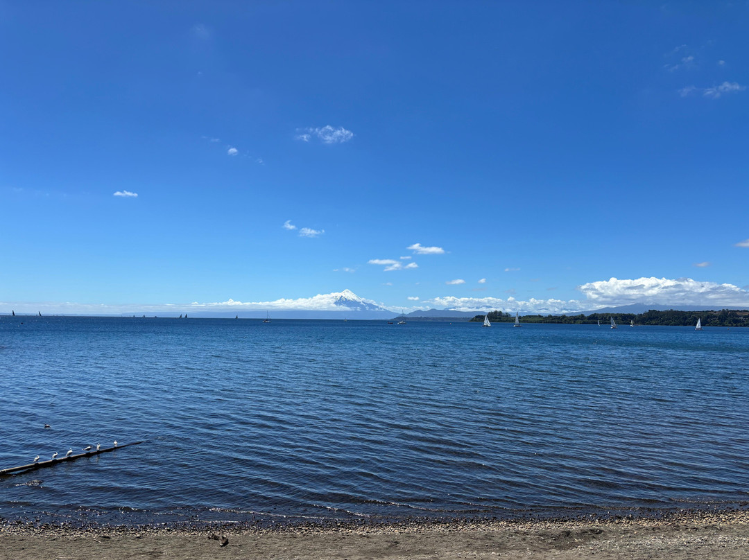 Costanera de Puerto Varas-巴拉斯港必去景点